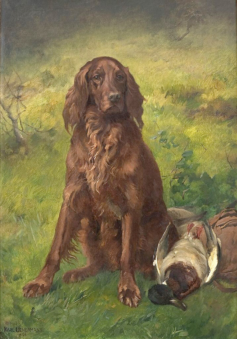 Oil painting animal dog Irish-Setter-with-a-Duck-Karl-Kristian-Uchermann canvas Oil painting animal dog Irish-Setter-with-a-Duck-Karl-Kristian-Uchermann canvas