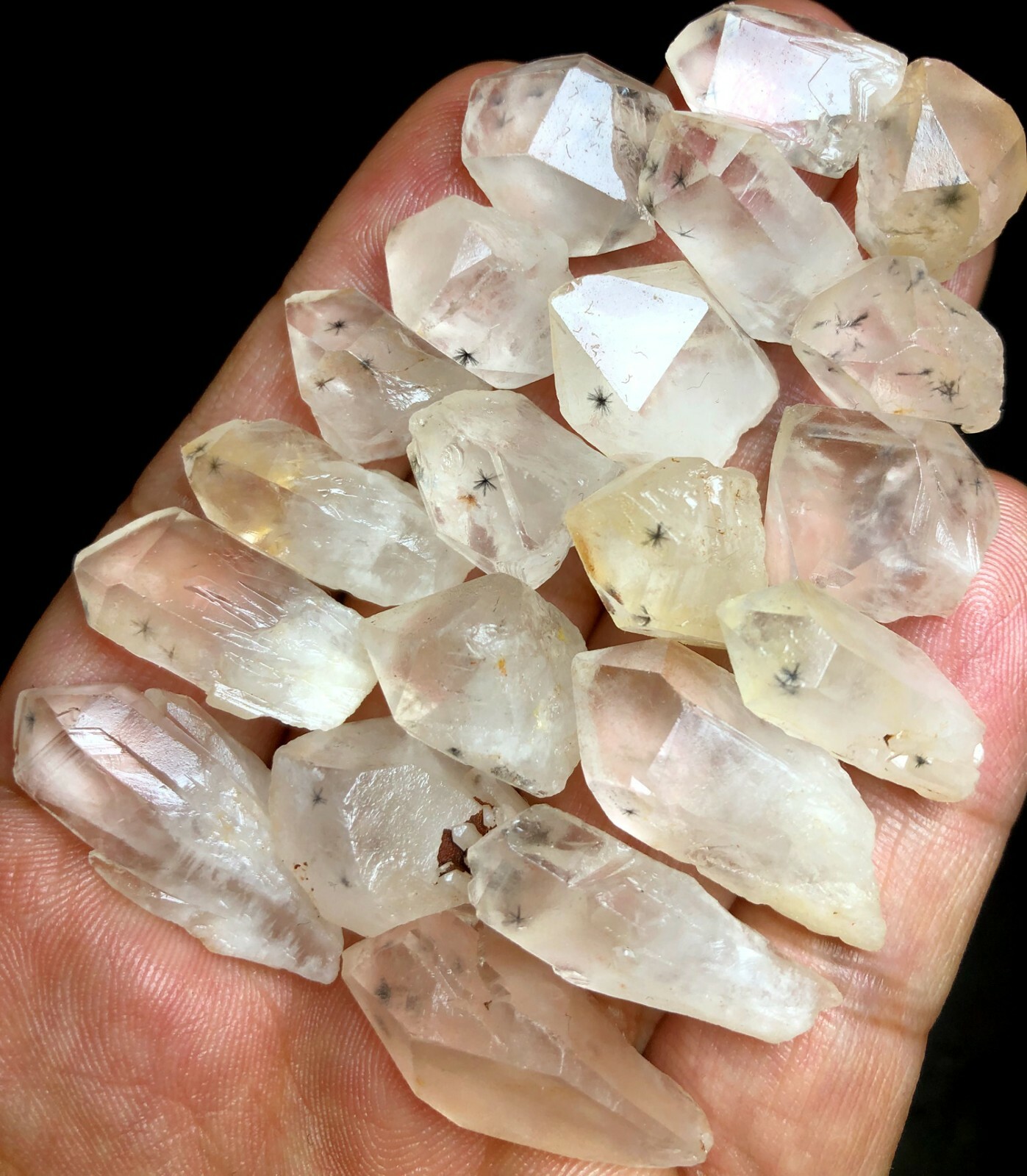 58g 20PCS RARE Natural Hollandite Star Quartz CRYSTAL Point &Trapiche Hair c399