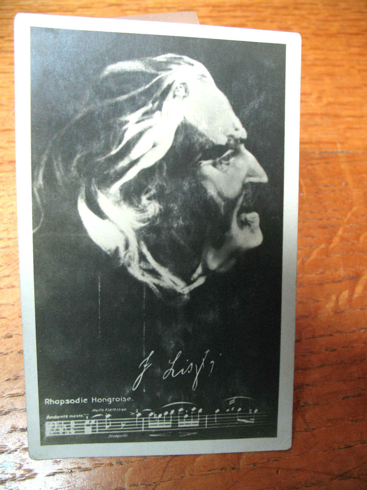 SILVER  GELATIN PHOTO  BROMOGRAFIA FRANZ LISZT HUNGARIAN PIANIST COMPOSER NICE