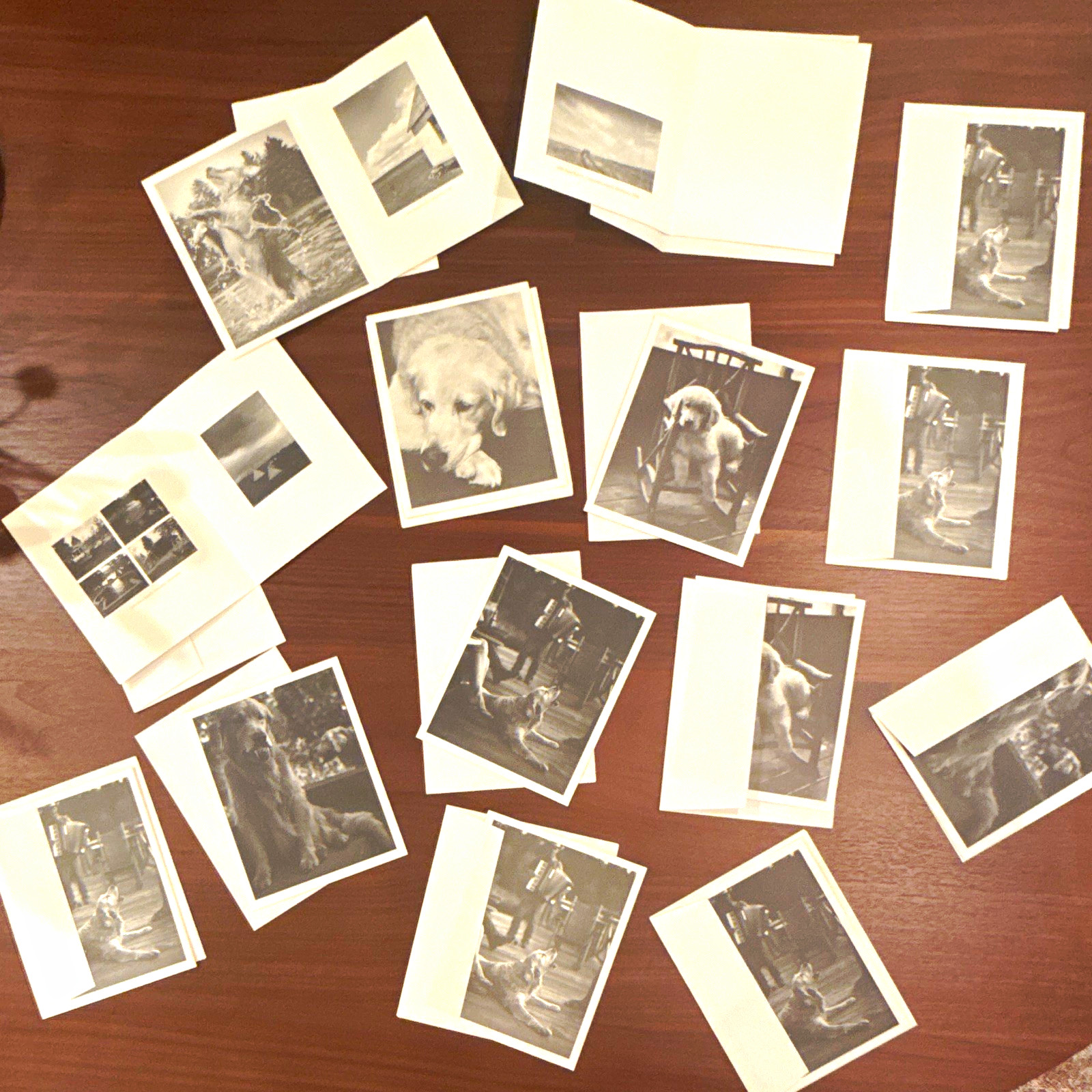 Rare Bruce Weber Cards with Envelopes - Various Sides Shown Lot of 14 Rare Bruce Weber Cards with Envelopes - Various Sides Shown Lot of 14