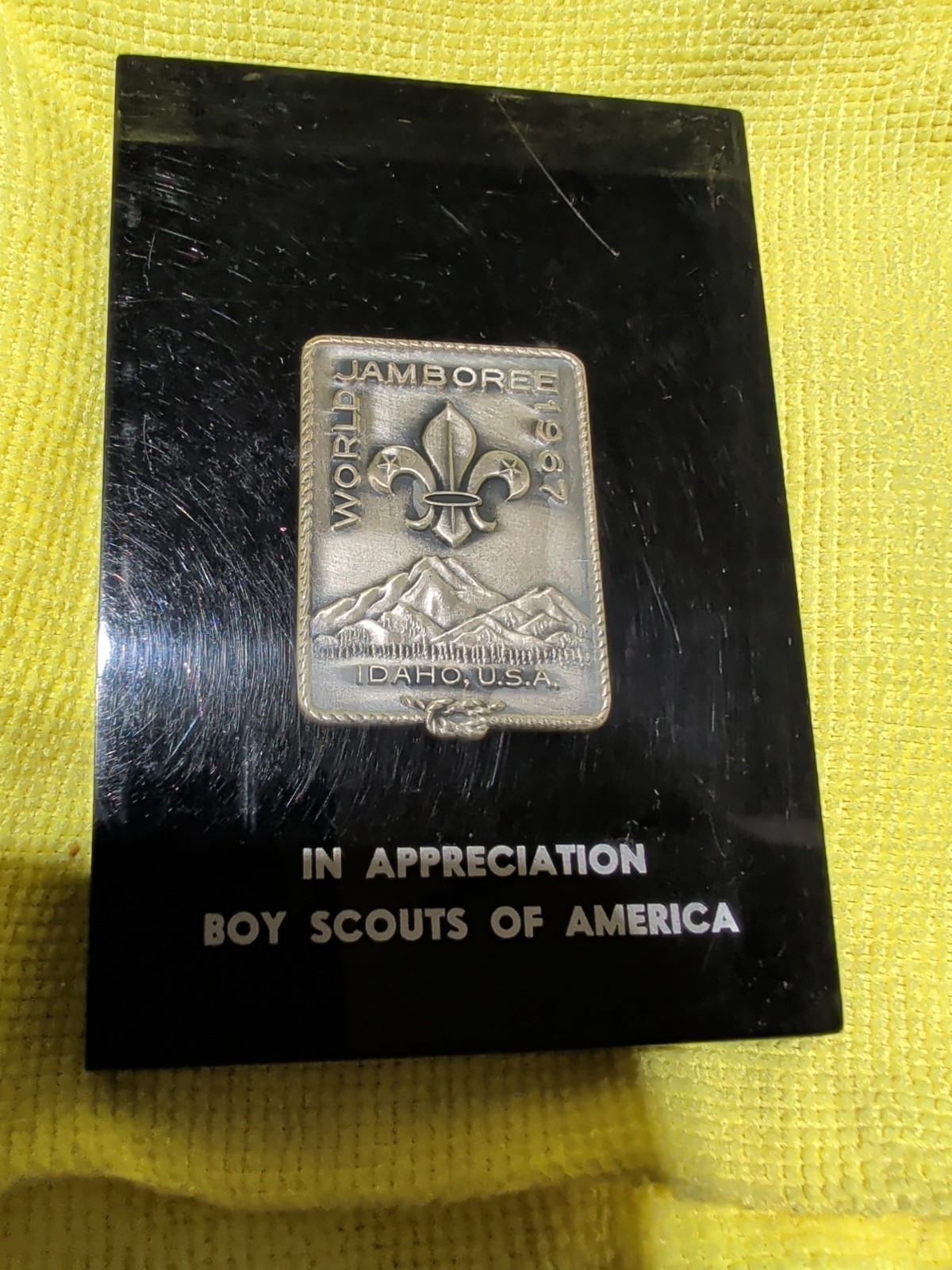Vintage 1967 Boy Scout World Jamboree Idaho Pin Encased In Resin