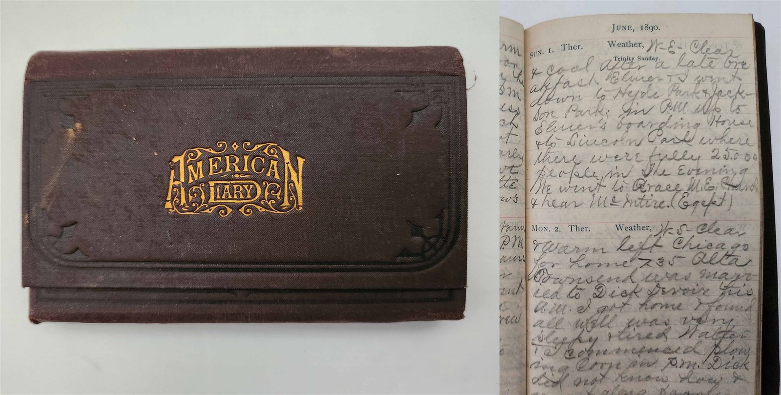 1890 antique DIARY argos in CHAPMAN FAMILY LIFE annie walter elmer farm deaths+