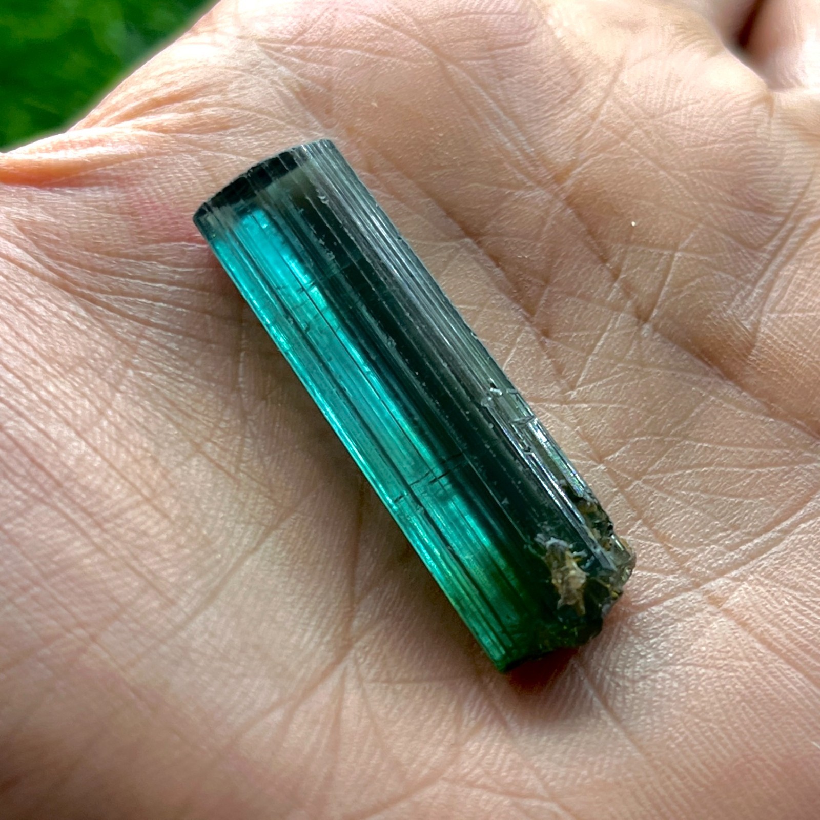 Natural Indicolite Blue Green Tourmaline Rough Crystal 25 Ct Bi Color Pencil Gem