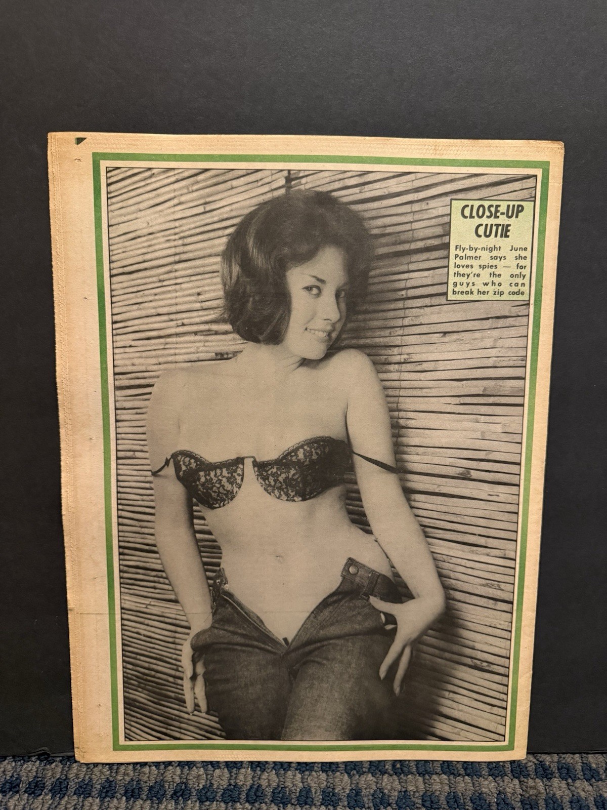 1970 Jan 19th National Close-Up Newspaper, Close-Up Cutie: June Palmer (VRN10C 1970 Jan 19th National Close-Up Newspaper, Close-Up Cutie: June Palmer (VRN10C