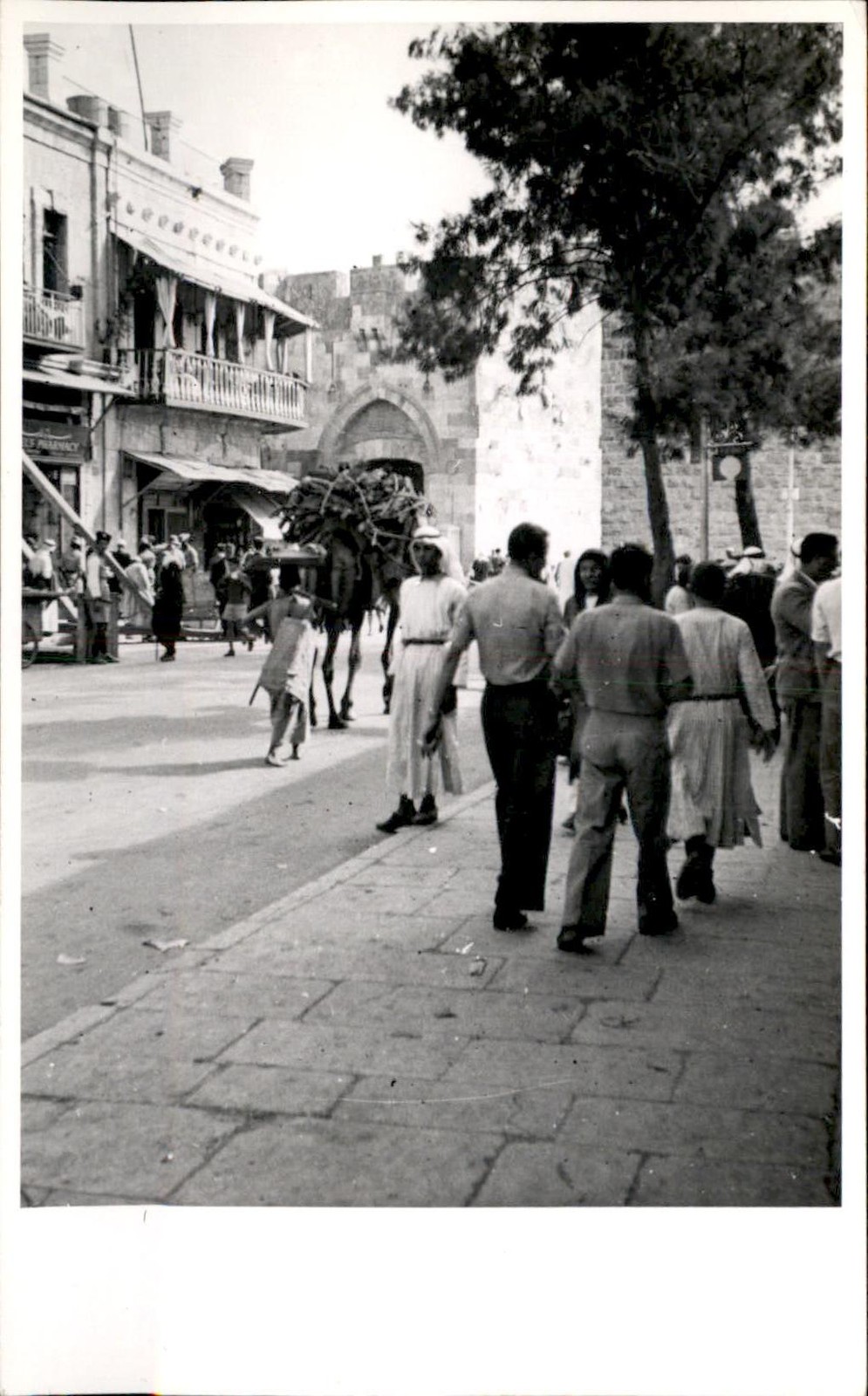 From a Cairo Egypt Group Street Scene Camel c1940s-50s Real Photo Postcard bhn