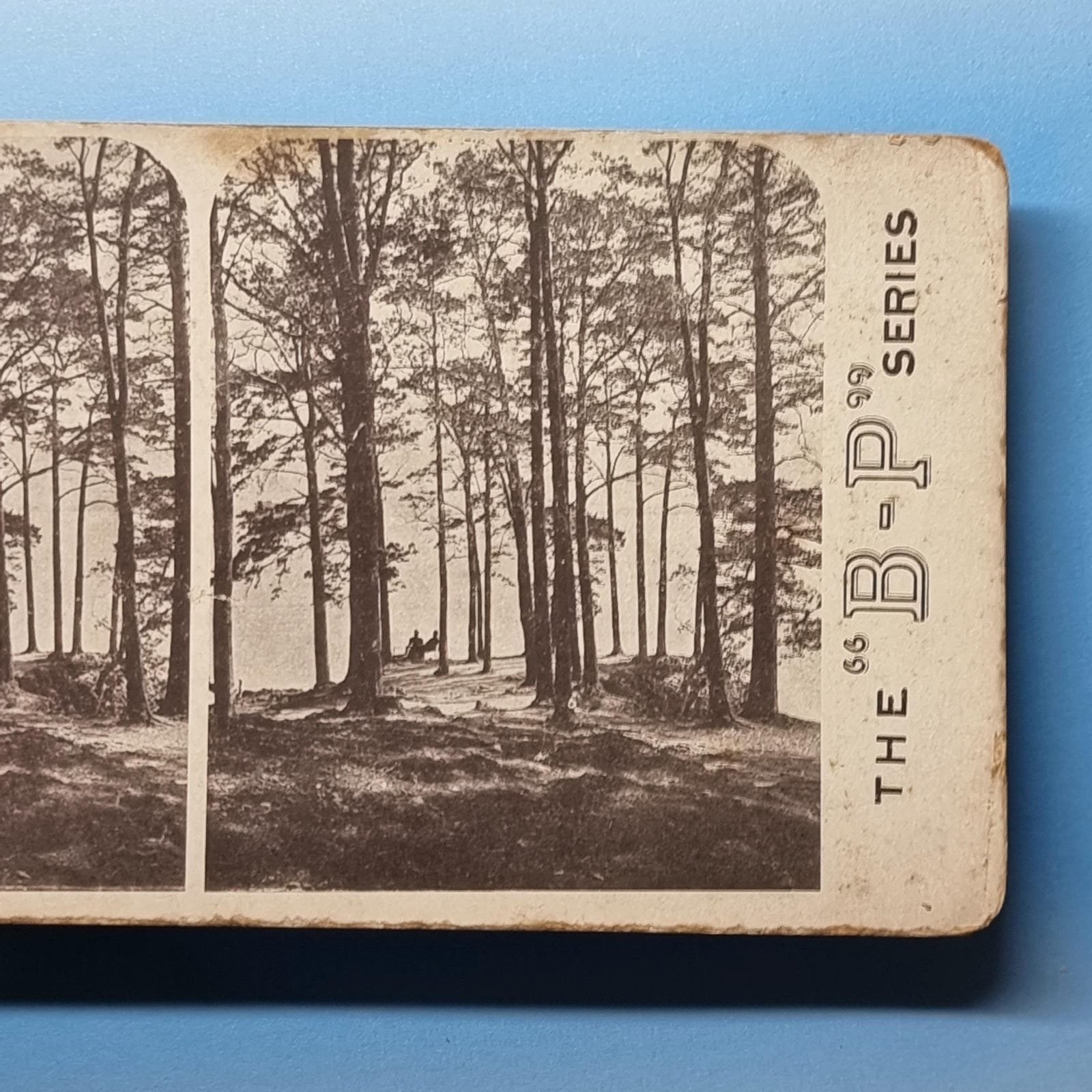 Friars Crag Stereoview C1900 Cumbria Derwent Lake View