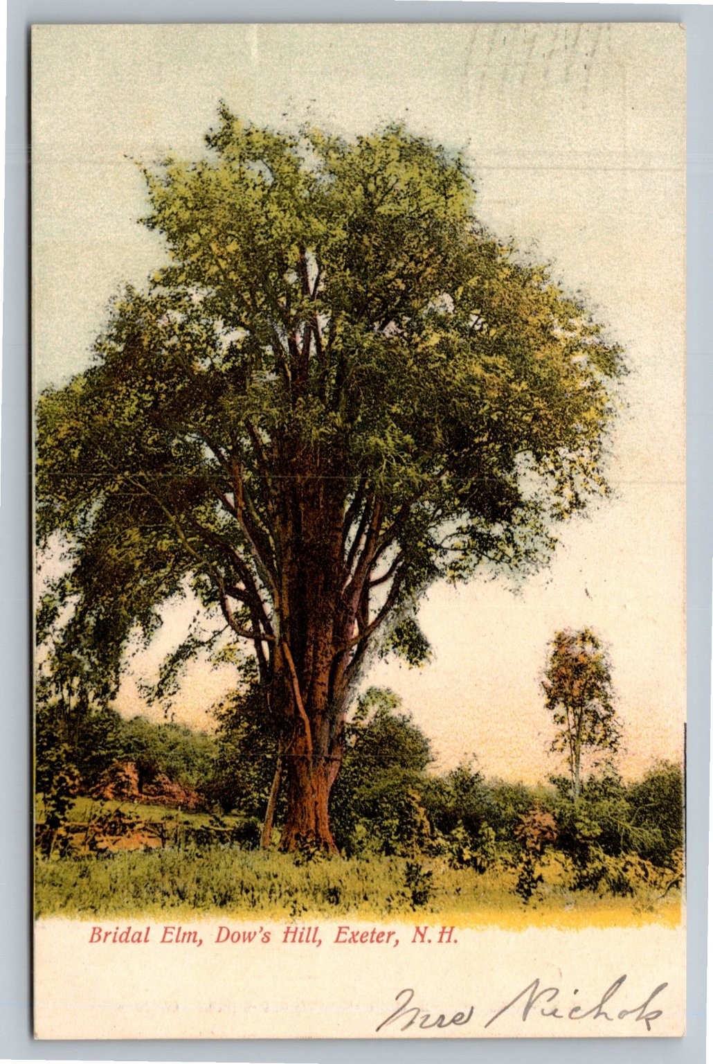 Vintage Bridal Elm Dow\'s Hill Exeter NH Postcard 1908 Posted