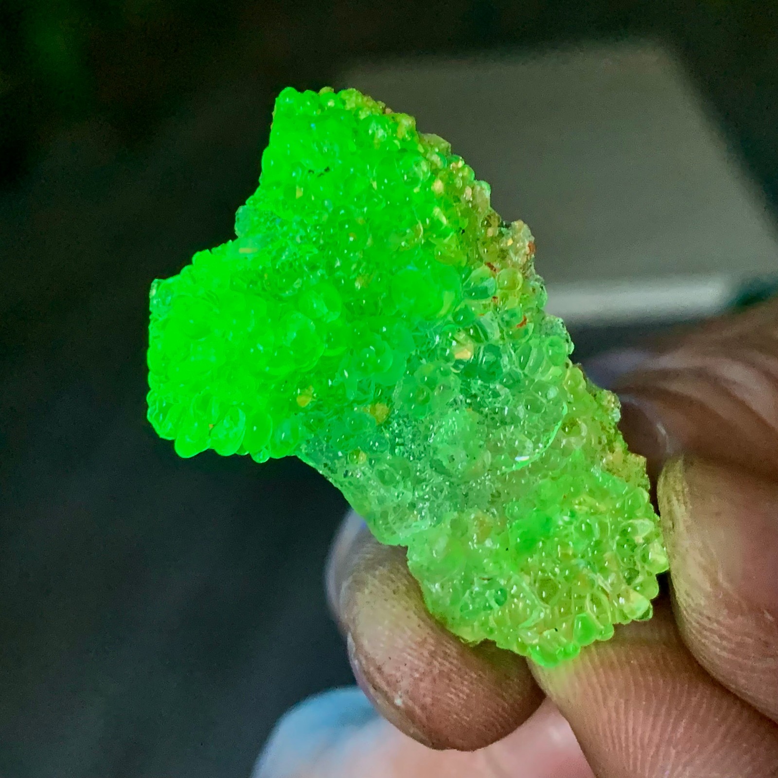 3G Natural hyalite opal quartz  crystal fluorescent specimen /Namibia
