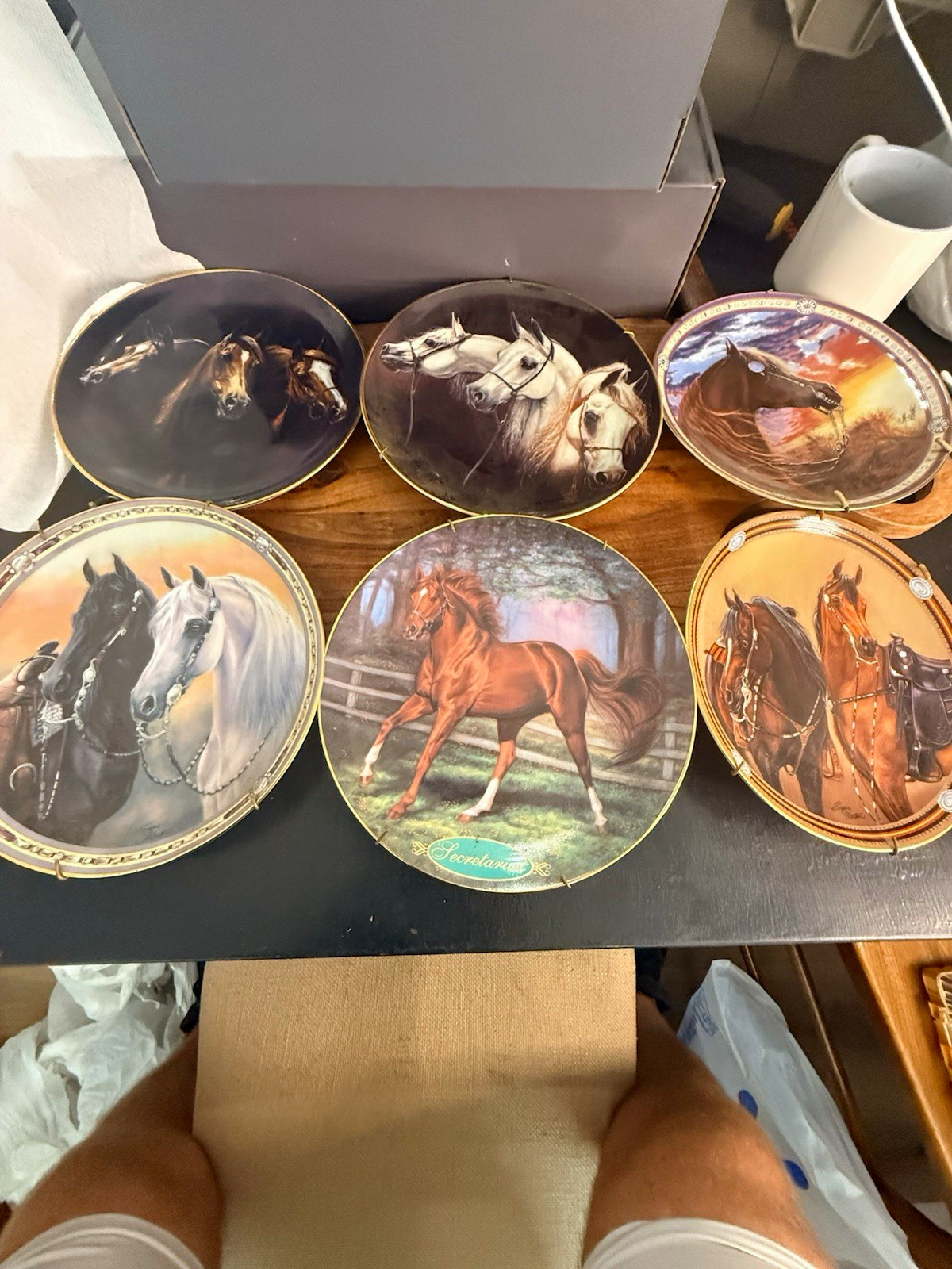 Lot of 6 Danbury Mint Horse Collector Plates Susie Morton - Matching Serial Nos