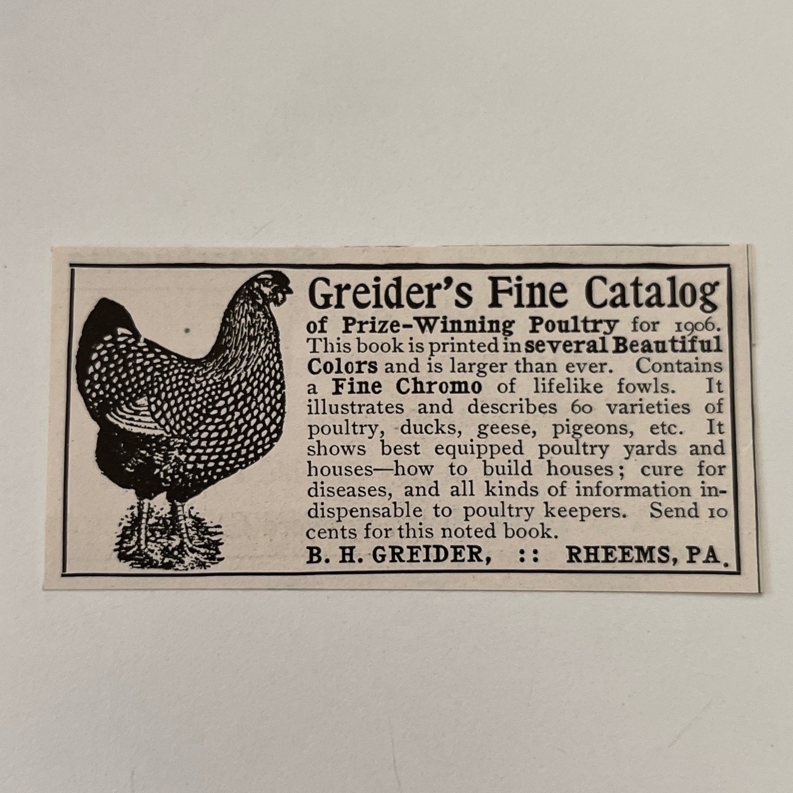 Greider\'s Fine Catalog B. H. Greider Rheems PA 1906 Ad SAH6-S15