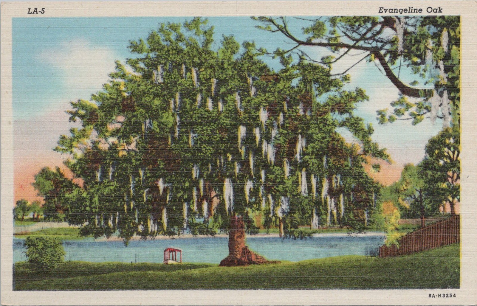 Linen PC * Louisiana New Orleans View of Evangeline Oak Tree 1940s