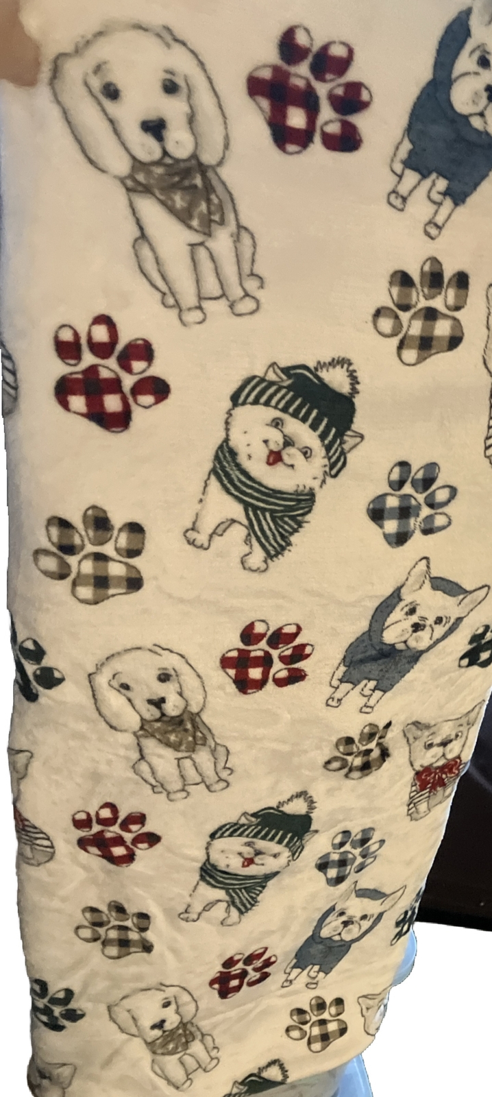 SALE PRICED NOWFRENCH BULLDOG 2 Different Sides,THROW BLANKET 40 X 50