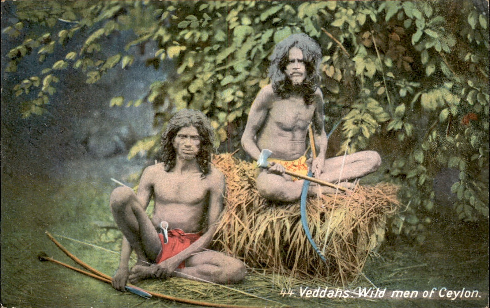 Veddahs Wild Men Ceylon Sri Lanka c1900s-10s Vintage Postcard bhn