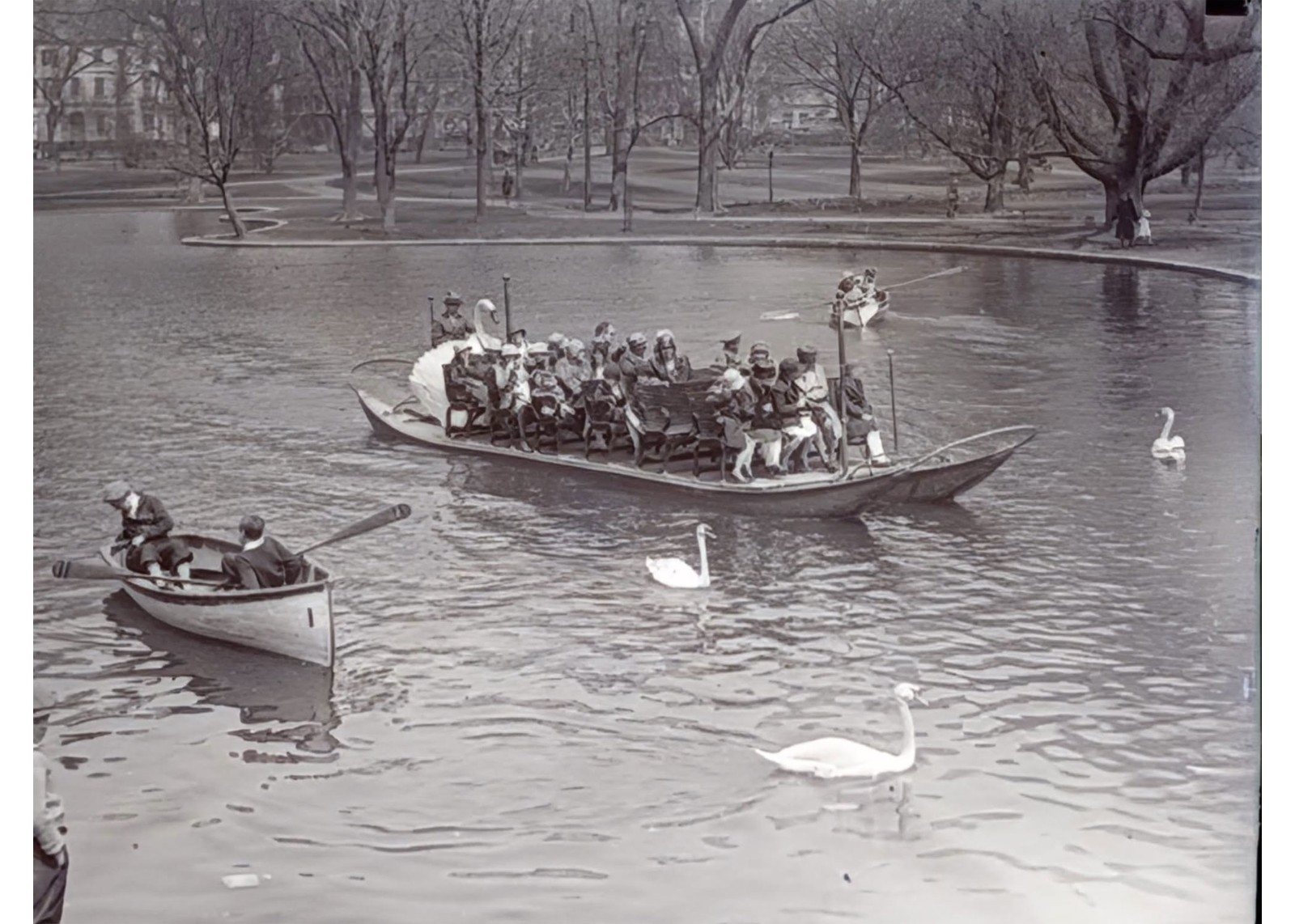 1929 Boston Public Garden Swan Boats Lagoon Black Swans Glass Negative OOAK 4x5