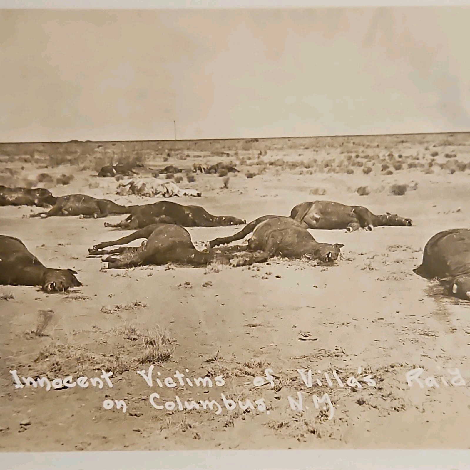 MEXICAN Revolution RPPC Colunmbus NM raid massacre 9 deceased innocent horses 