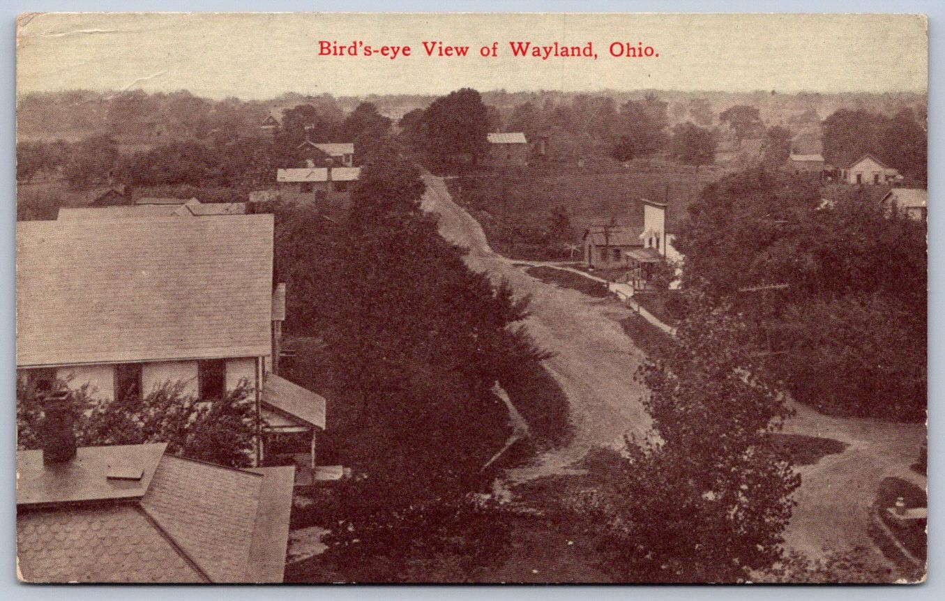K51/ Wayland Ohio Postcard c1910 Birdseye View Stores Homes 20