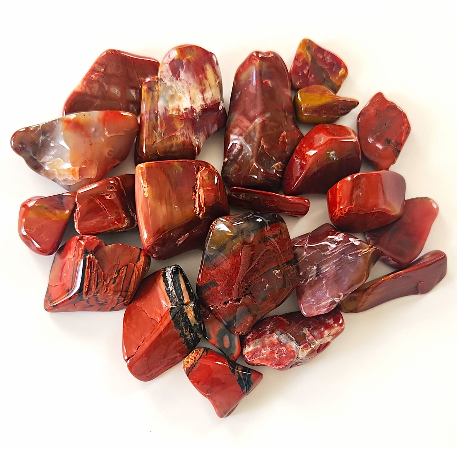 Petrified Wood Tumbled Holbrook Arizona 2 Pounds 