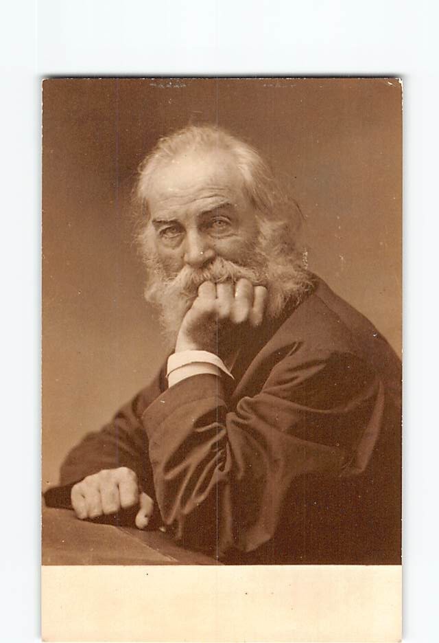 Postcard Walt Whitman as The Good Gray Poet Walt Whitman Sesquicentennial