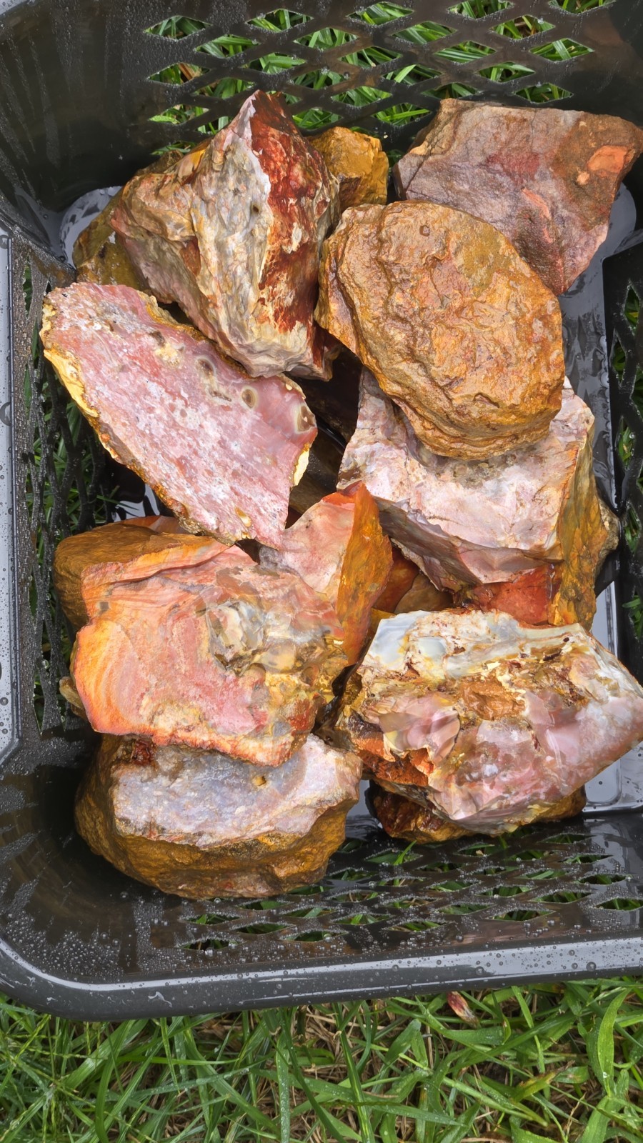 Rough Mozarkite Lot 1 Pound Lb Red White Pink Yellow Larger Pieces Lapidary