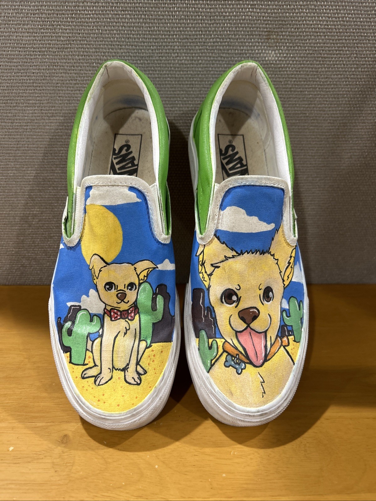 Vans Desert Dog Hand Painted Slip-On Shoes Men\'s 8.5 Women\'s 10 Custom Art Used