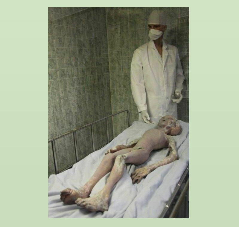 Vintage Creepy Alien Autopsy PHOTO Scary Weird X-Files Body Area 51 UFO Roswell Vintage Creepy Alien Autopsy PHOTO Scary Weird X-Files Body Area 51 UFO Roswell