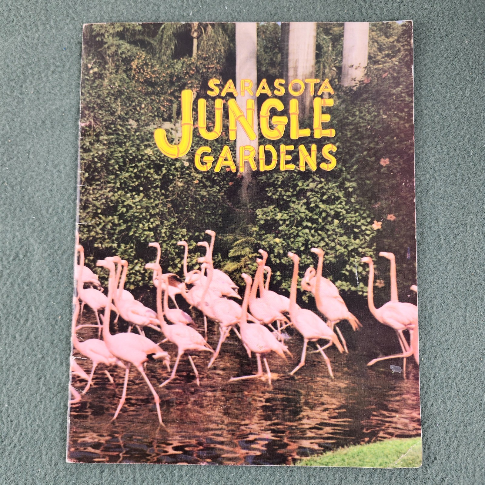 Vintage Souvenir Sarasota Jungle Gardens Picture Booklet Vintage Souvenir Sarasota Jungle Gardens Picture Booklet