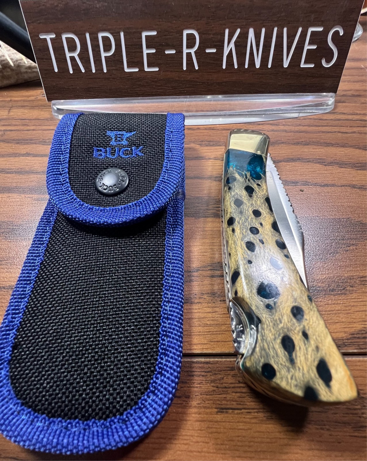 Leroy Remer Customized Buck 110 Folding Hunter Knife