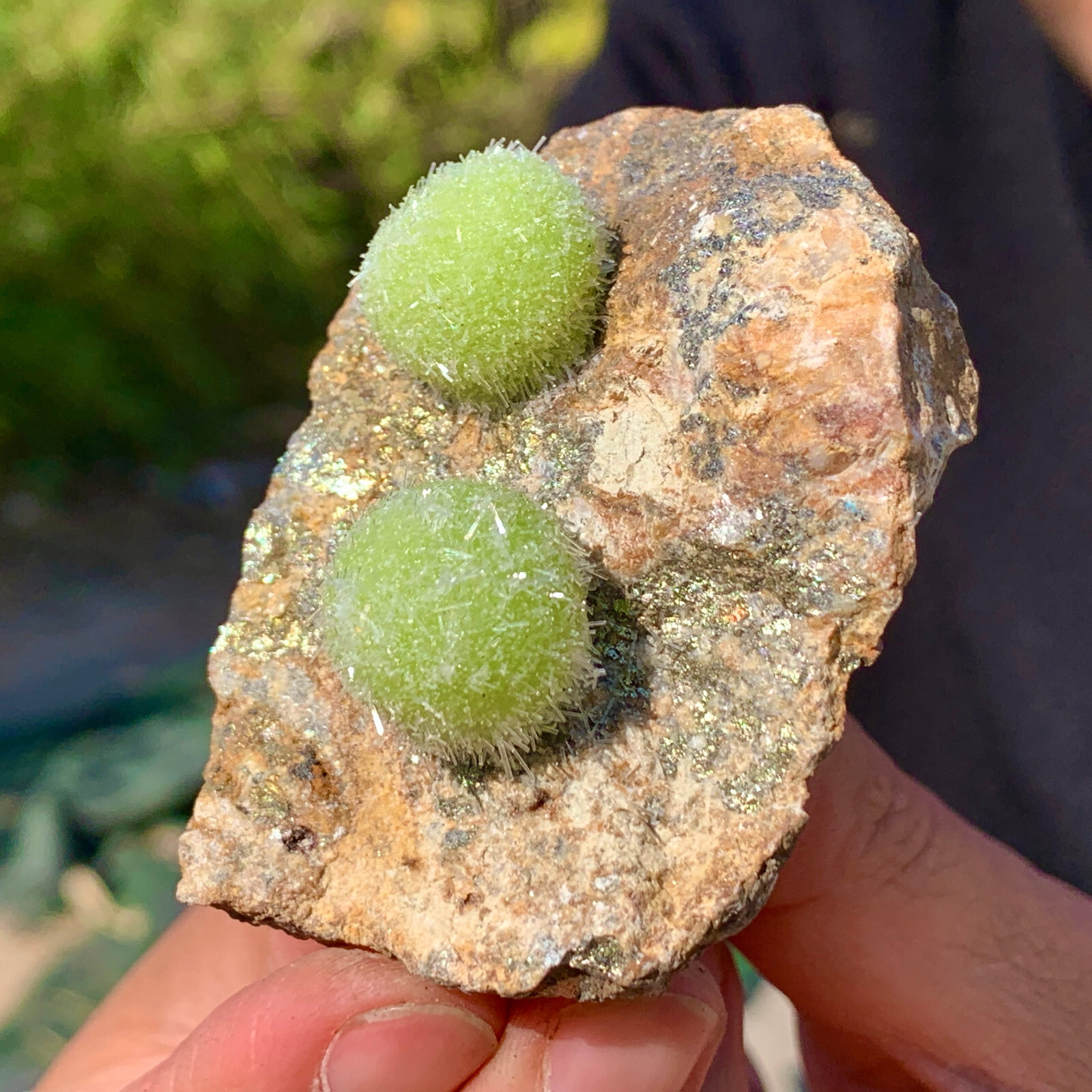126G Natural Crystal Pyromorphite Unique Spherical specimen China