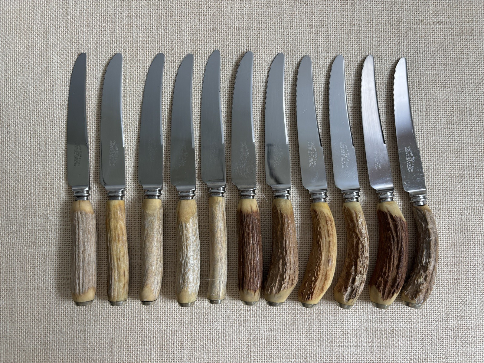 Vintage Sheffield English Antler Horn Handle Stainless Steak Knife Set of 11