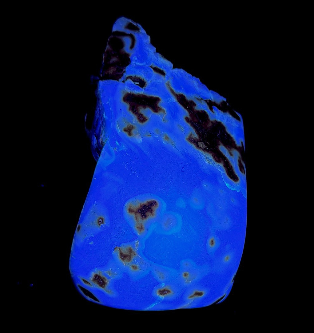 Indonesian Blue Amber 122g 95mm Freeform Polished UV Reactive Specimen Sumatra