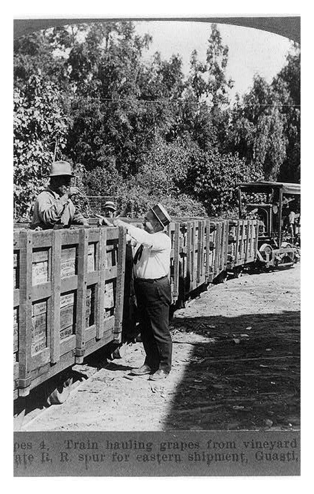 Guasti California Vineyard Train Standard Postcard Guasti California Vineyard Train Standard Postcard