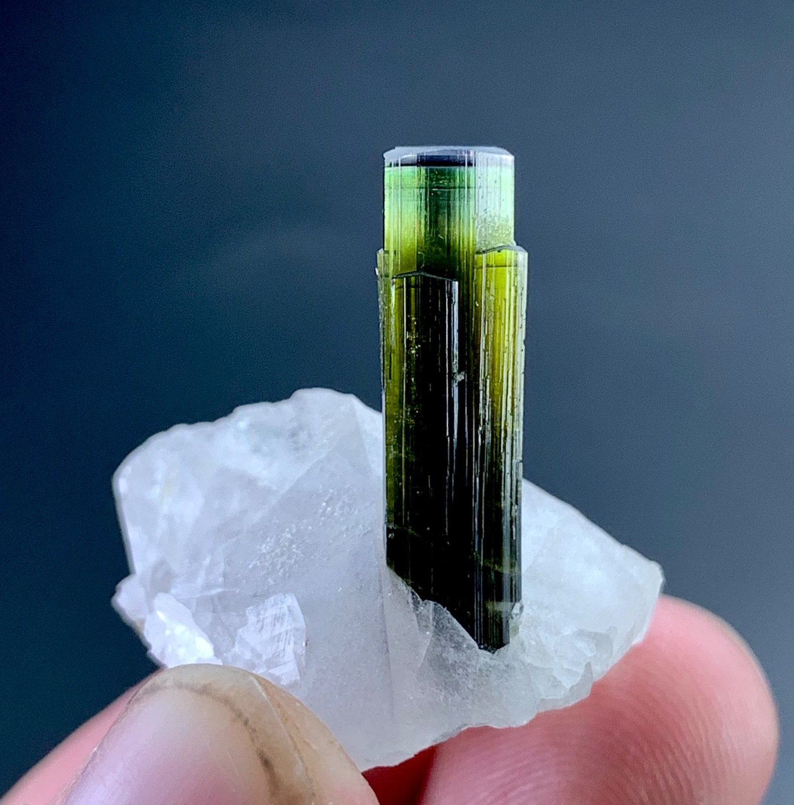55 CTs Green Cap Tourmaline Crystal With Quartz specimen from Afghanistan