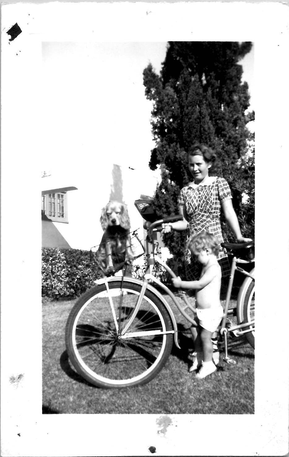 Adorable Dog on Bicycle Basket Sweet Mom and Baby Snapshot 1940s Vintage Photo