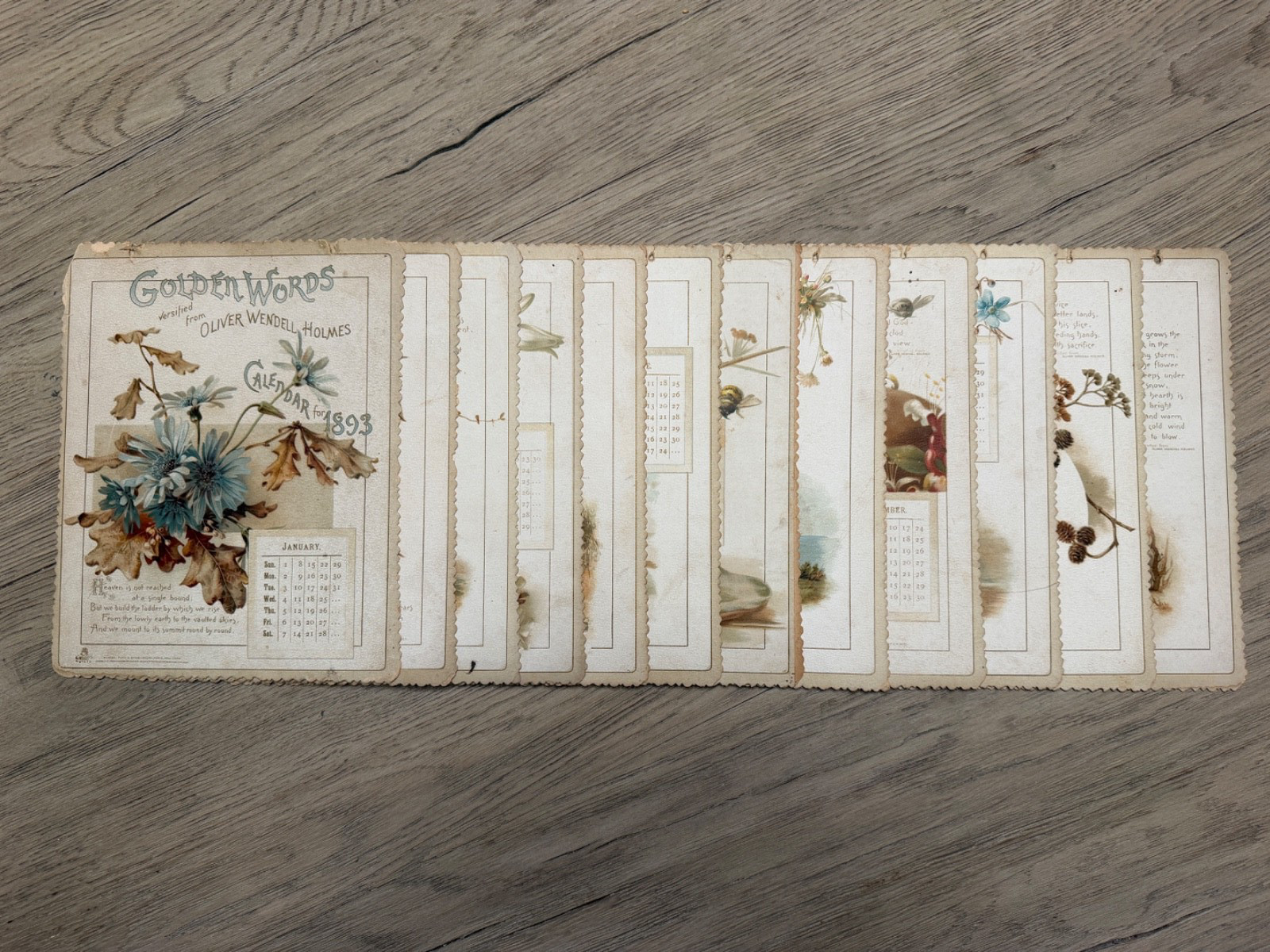 1893 Golden Words Oliver Wendell Holmes Complete Calendar Victorian Raphael Tuck