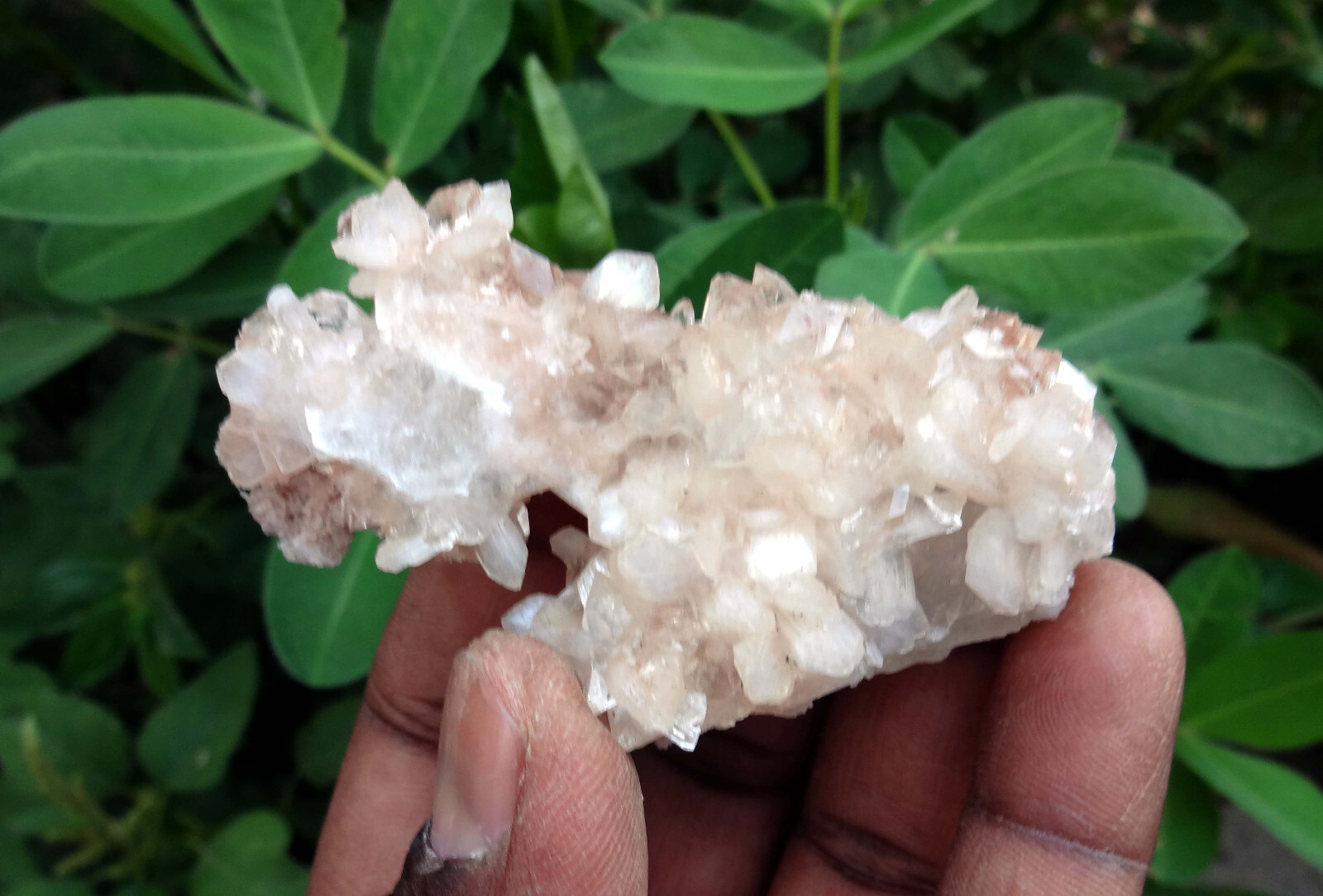 apophyllite w/ stilbite minerals specimen s-9