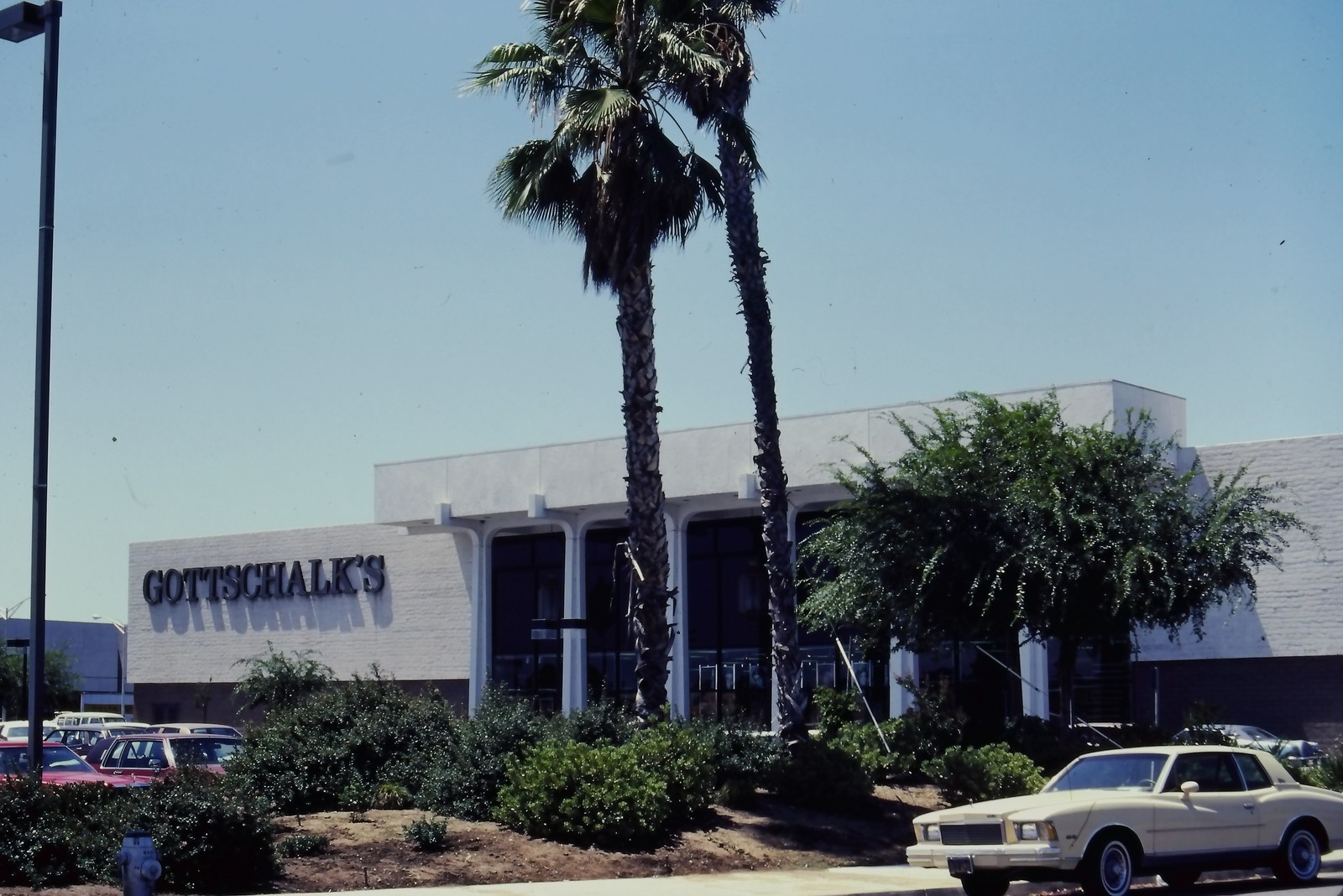 c1980's 35mm Slide Gottschalk's Department Store Chevrolet Monte Carlo USA c1980's 35mm Slide Gottschalk's Department Store Chevrolet Monte Carlo USA