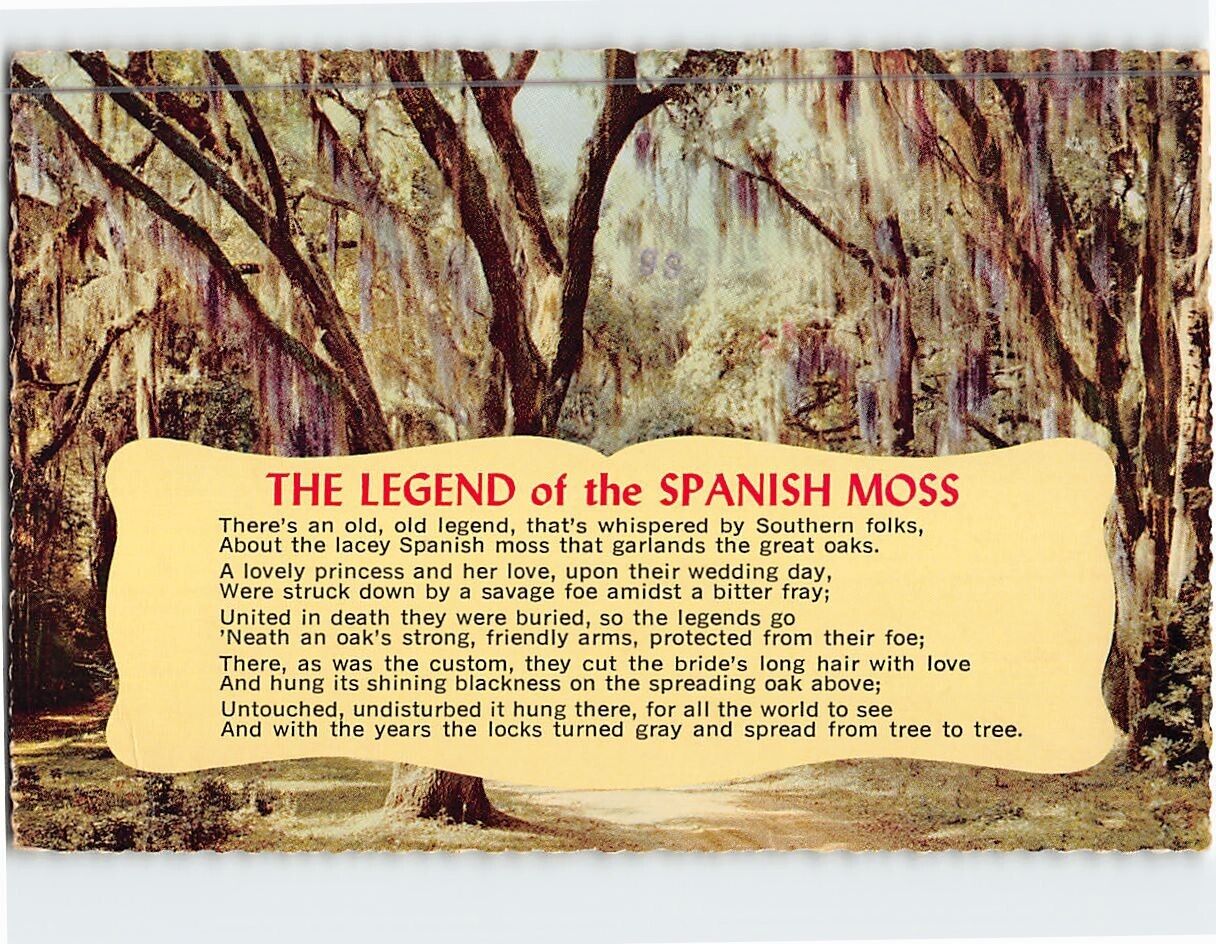 Postcard The Legend of the Spanish Moss