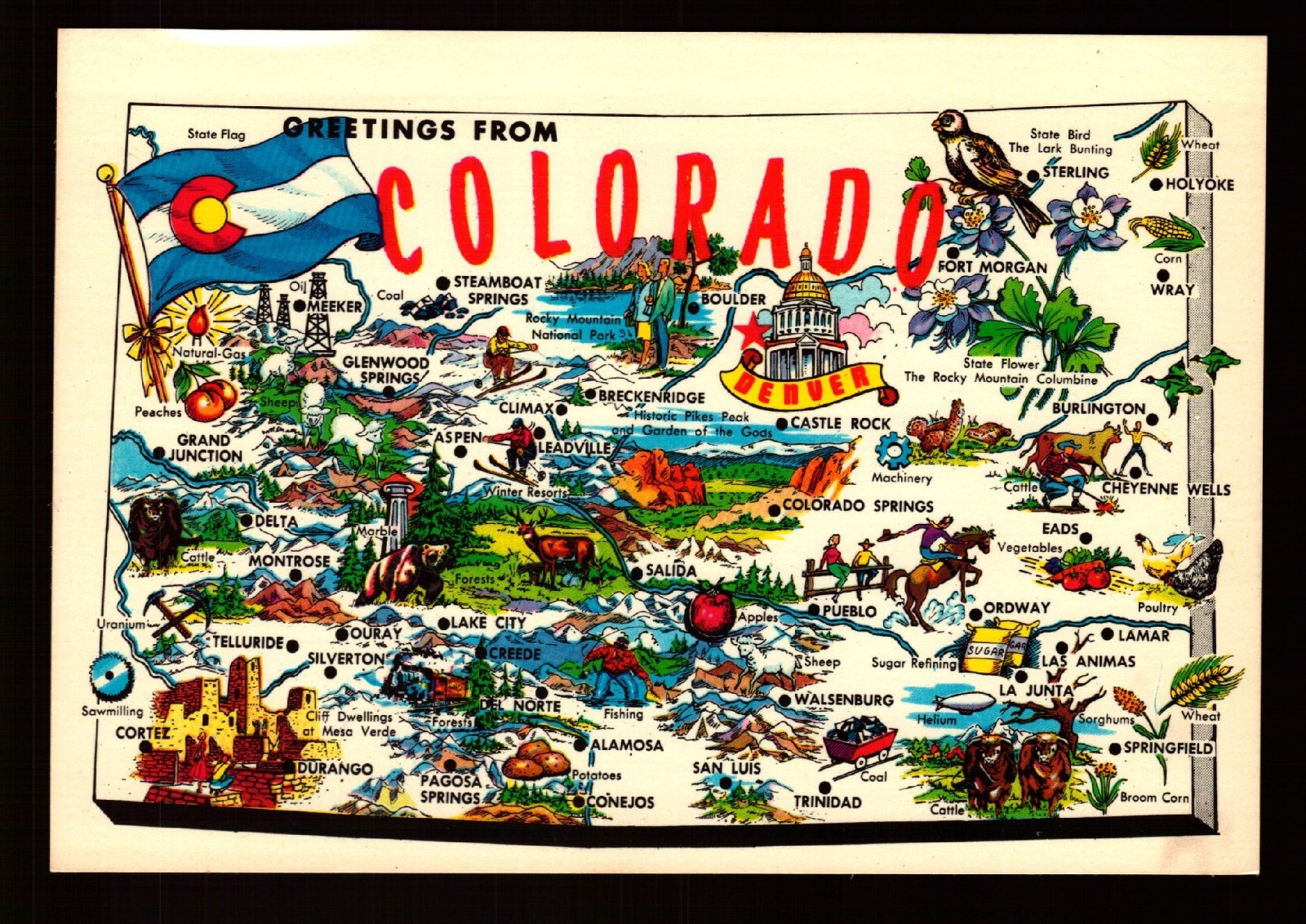 POSTCARD : COLORADO - CO - STATE MAP