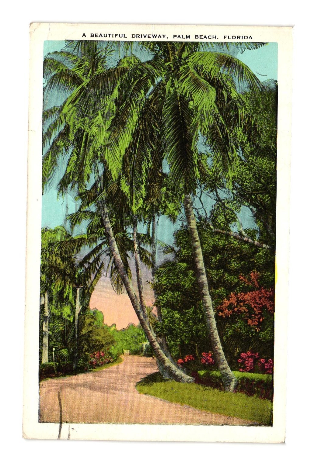 Vintage 1946 Palm Beach Florida Linen Postcard A Beautiful Driveway E.C. Kropp