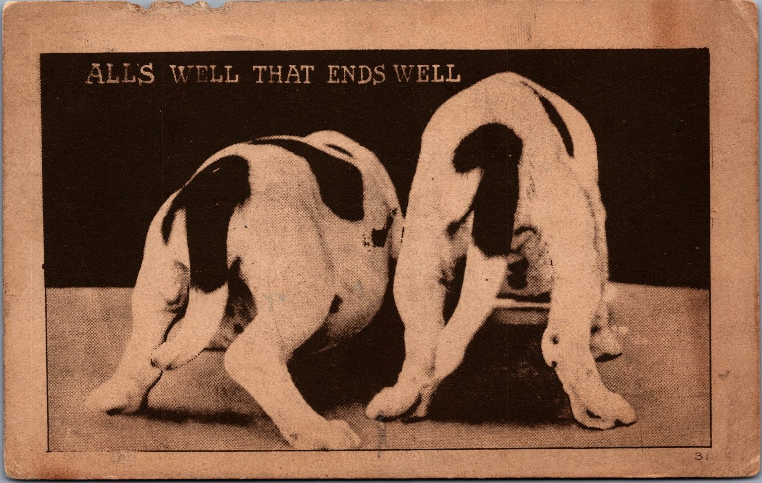 1911 Humorous Postcard Dogs 1911 Humorous Postcard Dogs