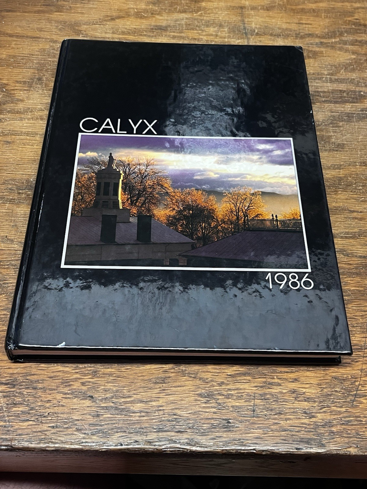 1986 Washington & Lee University  Calyx Yearbook