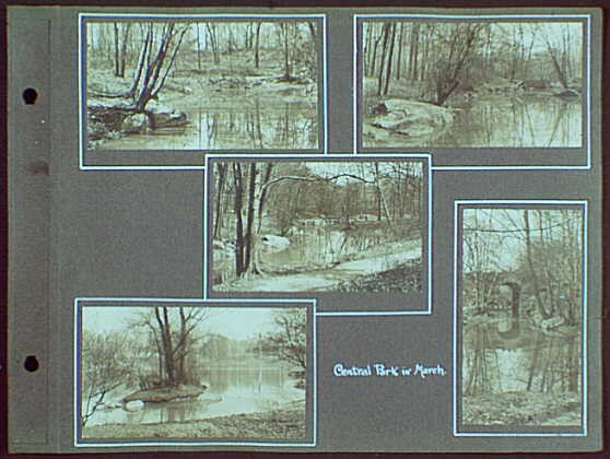Photo:Central Park New York NY 1912 March Landscape Photographs