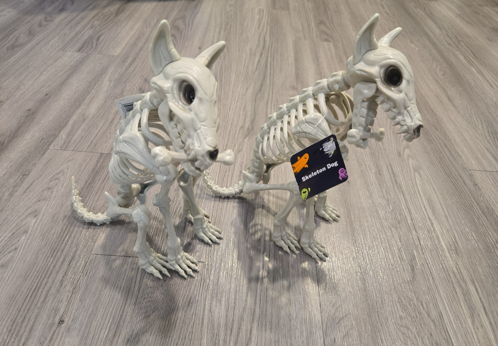 2 NEW Puppy Dog Skeleton Halloween Bones Skull Zombie Toy Anatomy Sitting Prop