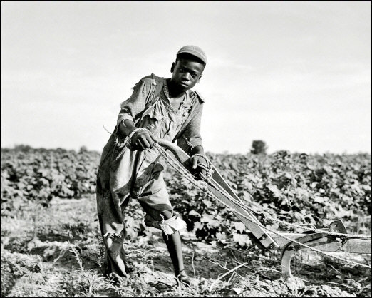 Black Sharecropper Photo 8x10 - Americus Georgia 1937