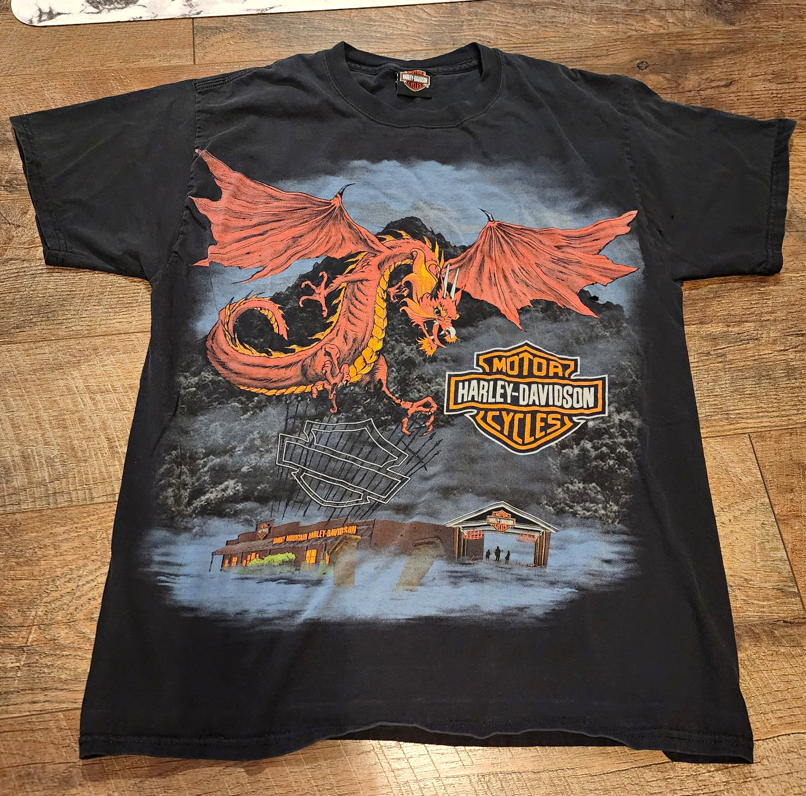 Y2K Dragon Harley Davidson Smoky Mountain TShirt Size Large