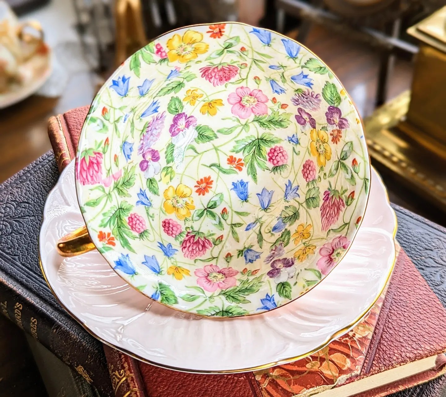 Vintage Shelley China Teacup & Saucer Oleander Pale Pink Countryside Pattern