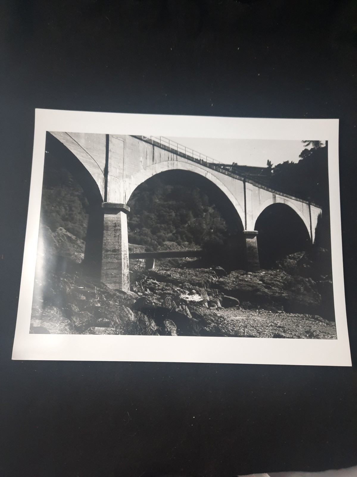 Vintage Black & White Archival Press Photo: \ Vintage Black & White Archival Press Photo: \