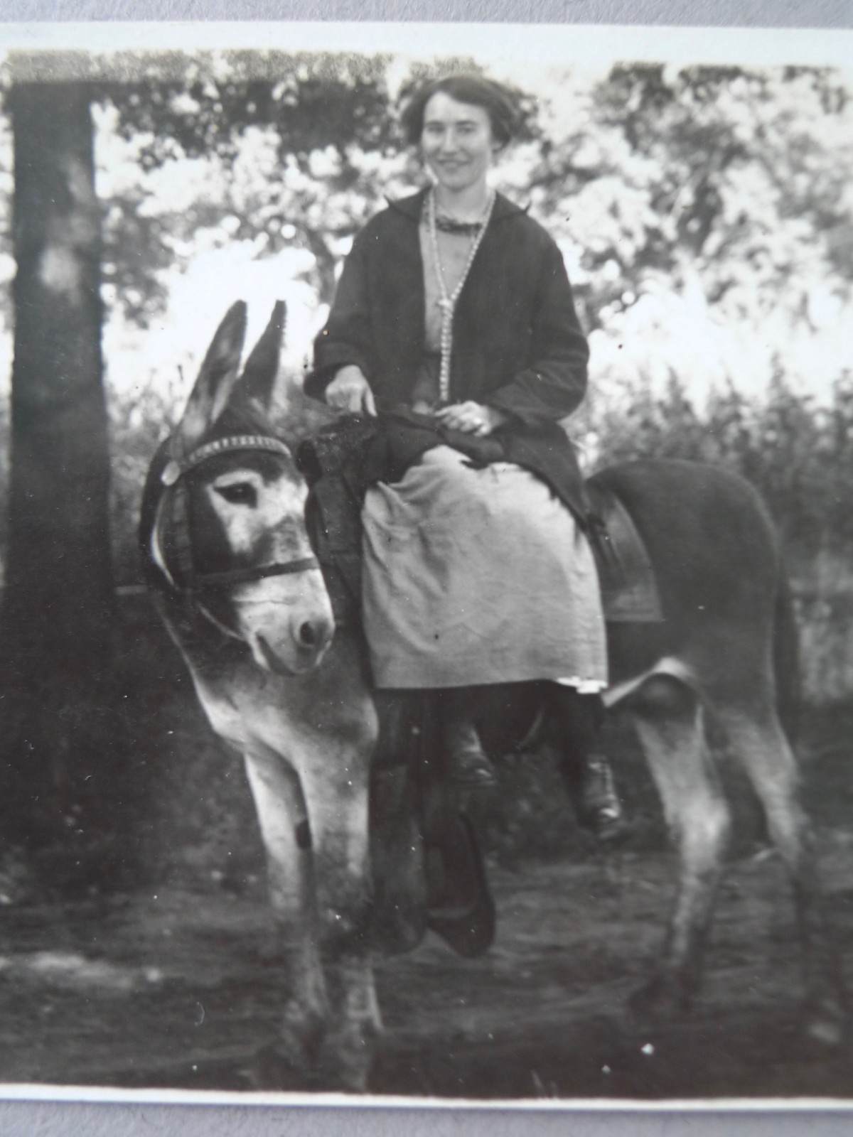 Antique 1914 rppc woman riding side saddle donkey vintage real photo postcard