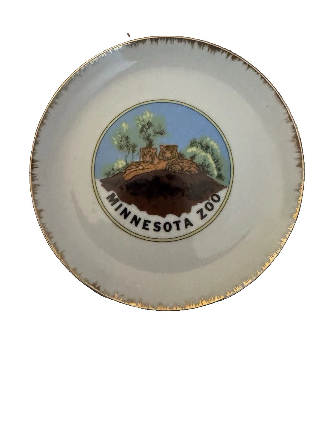 Vintage Minnesota Zoo Tiger Souvenir Wall Plate 6.75” Made in Japan Gold Trim