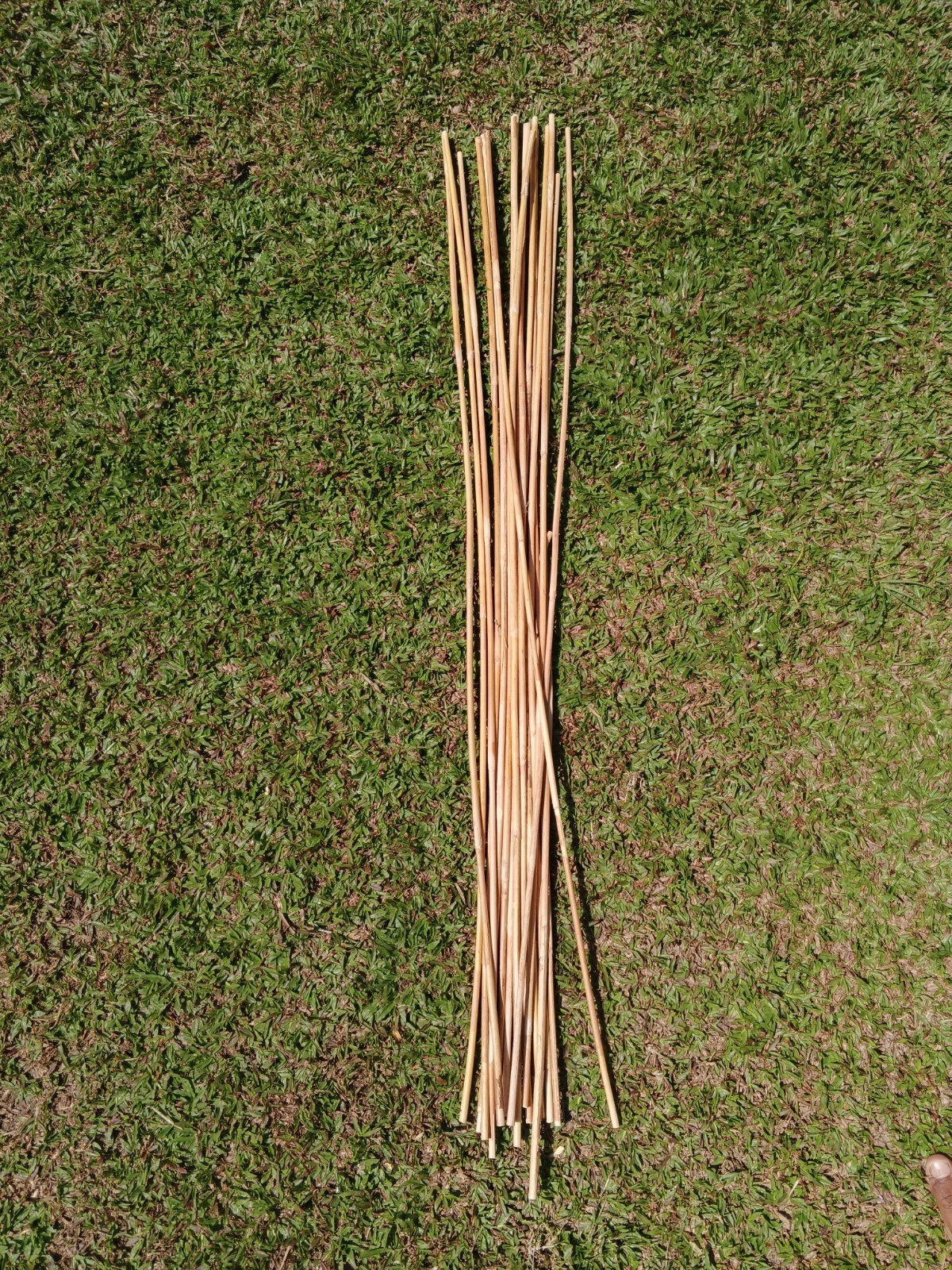 Rattan Cane Fresh Sticks 3pcs / Flexible / Natural (0.5-0.6 cm D / 40